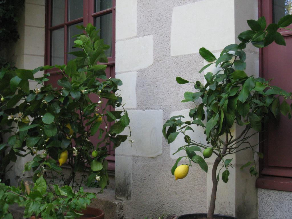 Le Logis Des Tourelles Bed and Breakfast Beaupréau Εξωτερικό φωτογραφία